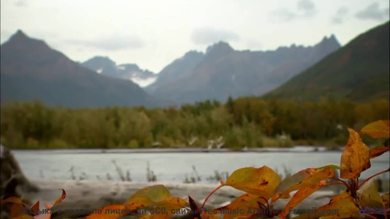 Звуки, которые слышат только просветленные - а вы - That Same Thing -- J Hacha De Zola -- Antipatico