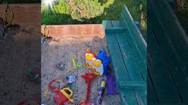 1000025282.mp4 (Собака смотрит на детскую игровую площадку, дом А-фрейм)