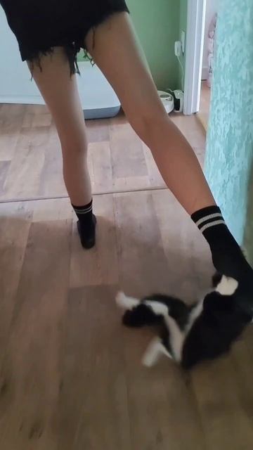 Дети играют 😊
