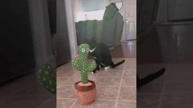 Не умеют играть
