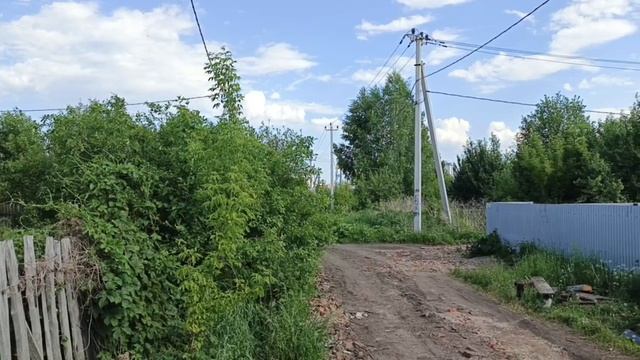 11916633