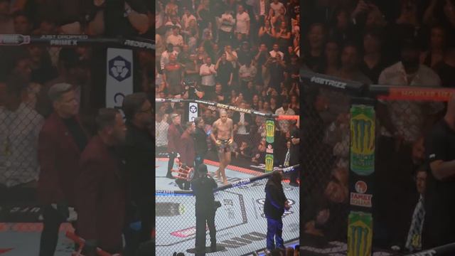 Лучшие нокауты Подпишись и ставь лайк #ufc #mma #youtube #sports #tiktok #shortsvideo #russia #box