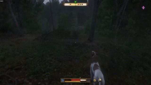 ИНДРЖИХ И СТЕЛС СПАСЕНИЕ ➤ Kingdom Come: Deliverance 2 ➤ доп. зада?