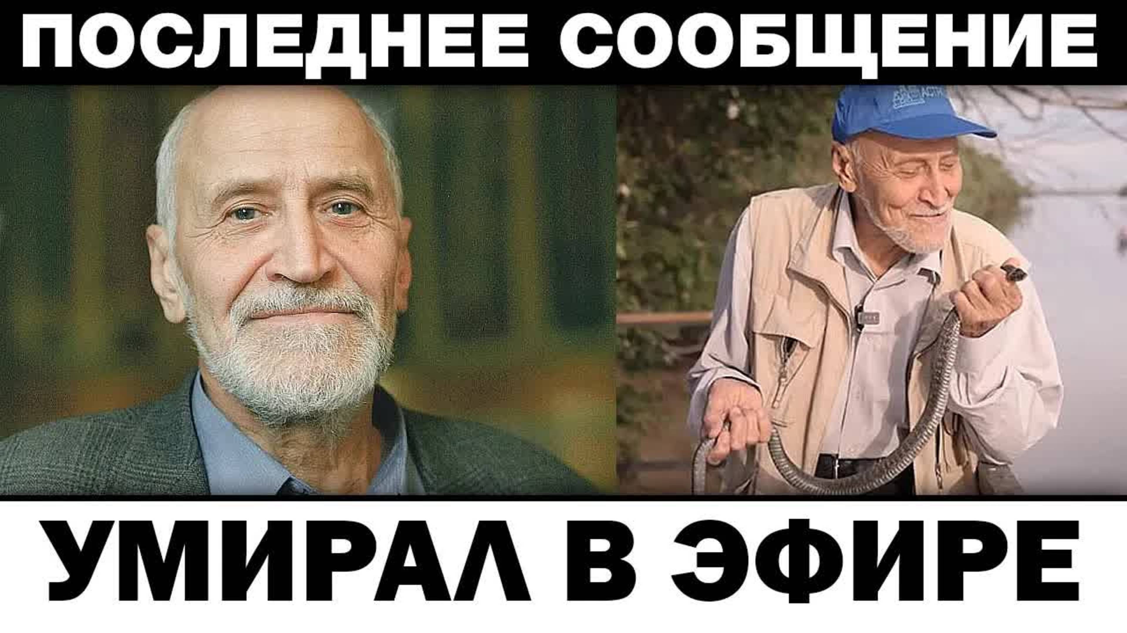 Умиpaл в эфире. Николай Дроздов фaтaльный укус в джунглях, новости шоубизнеса
