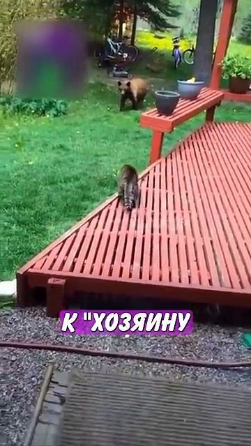 Новостничок (27)
