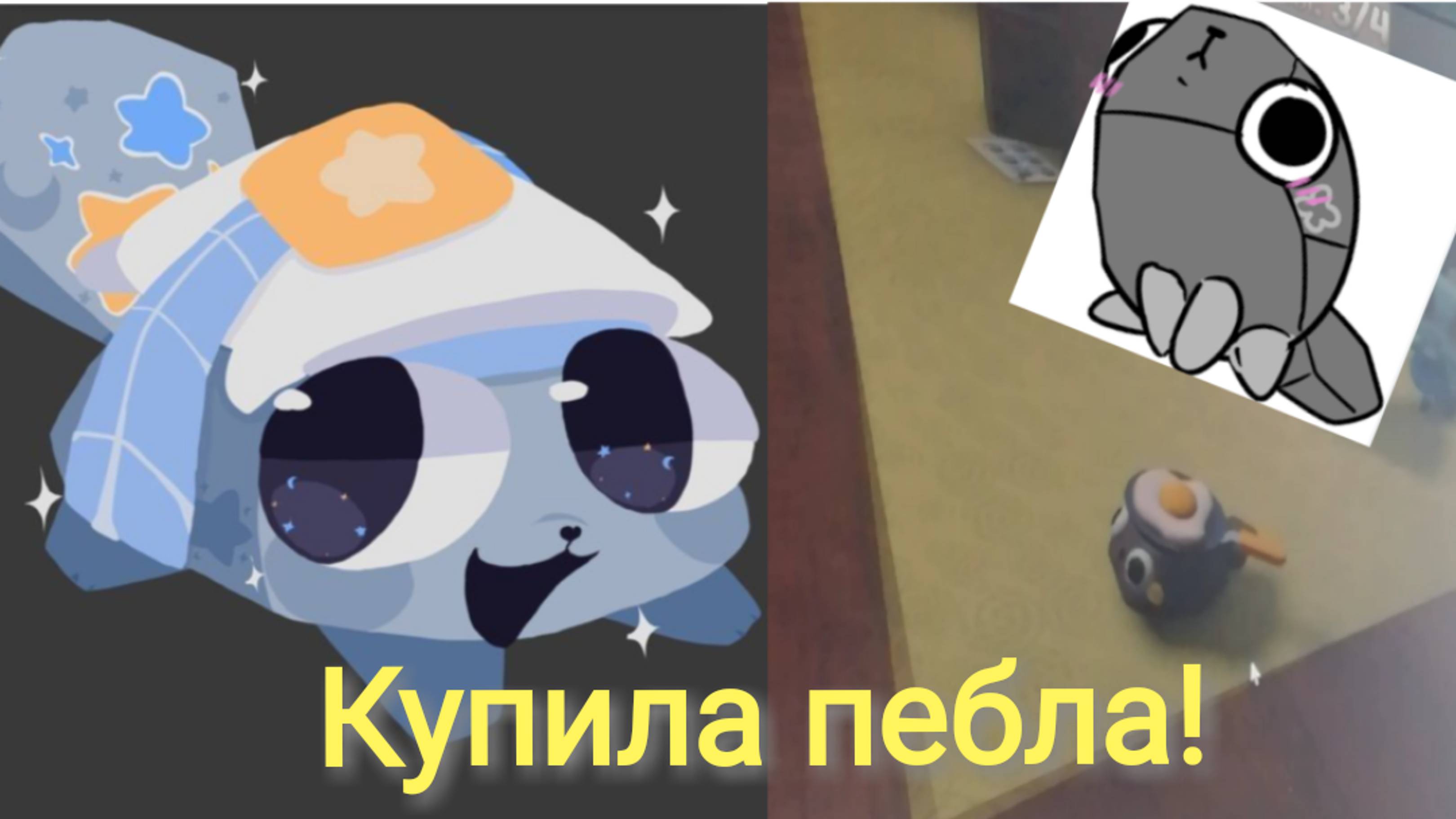 КУПИЛА ПЕБЛА!МИР ДЕНДИ!