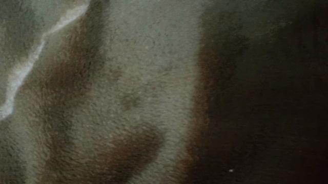 1000005917.mp4