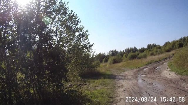 Велотуризм // Mother Earth White Birch Holy Russia