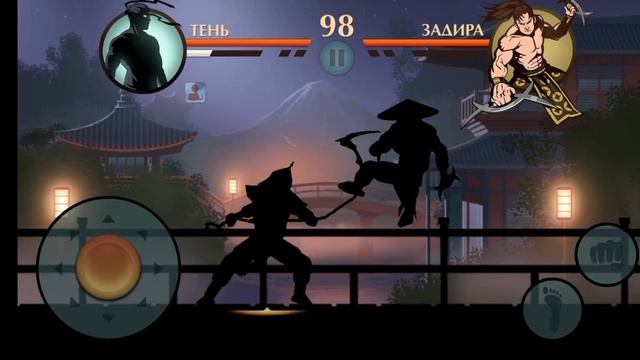 Молодой отшельник в shadow fight 2