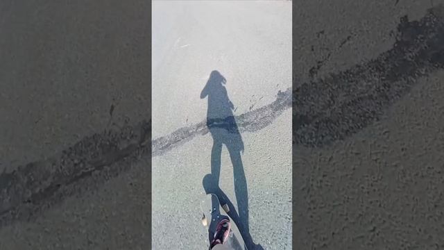 лонгборд 💜