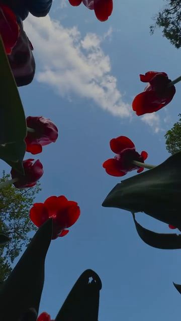 1000006824.mp4