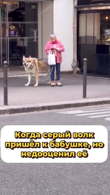 Белла? Джейкоб? сумерки уже не те...
