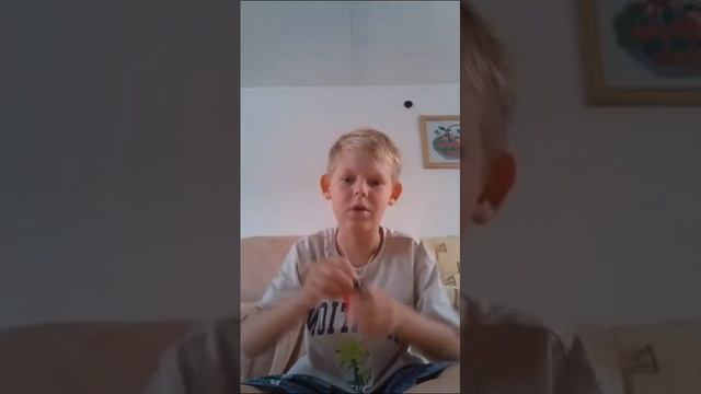 Игровой набор Goojitzu Sonic