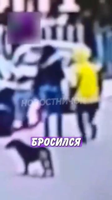 Новостничок (28)