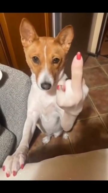 🤗😂