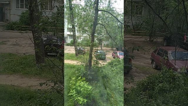 ЛЮБИМЫЕ ПТИЧКИ