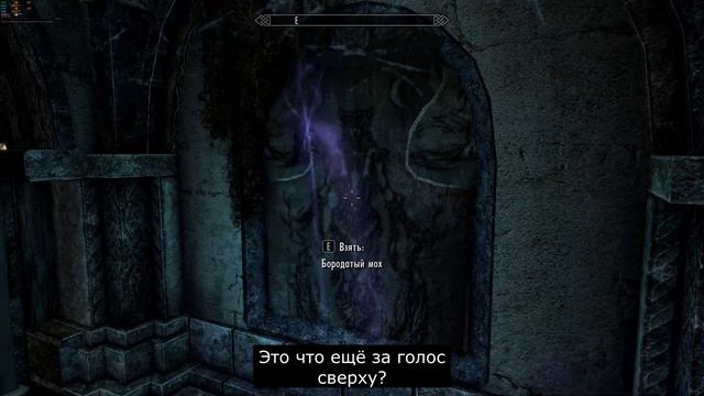 The Elder Scrolls V Skyrim: Гости Потемы