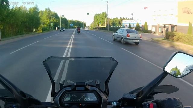 Хам обыкновенный