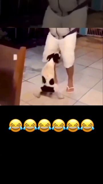 Ё ма хо🤣😄🤣