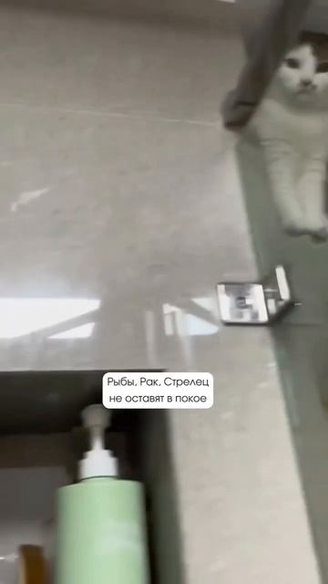1000005372.mp4