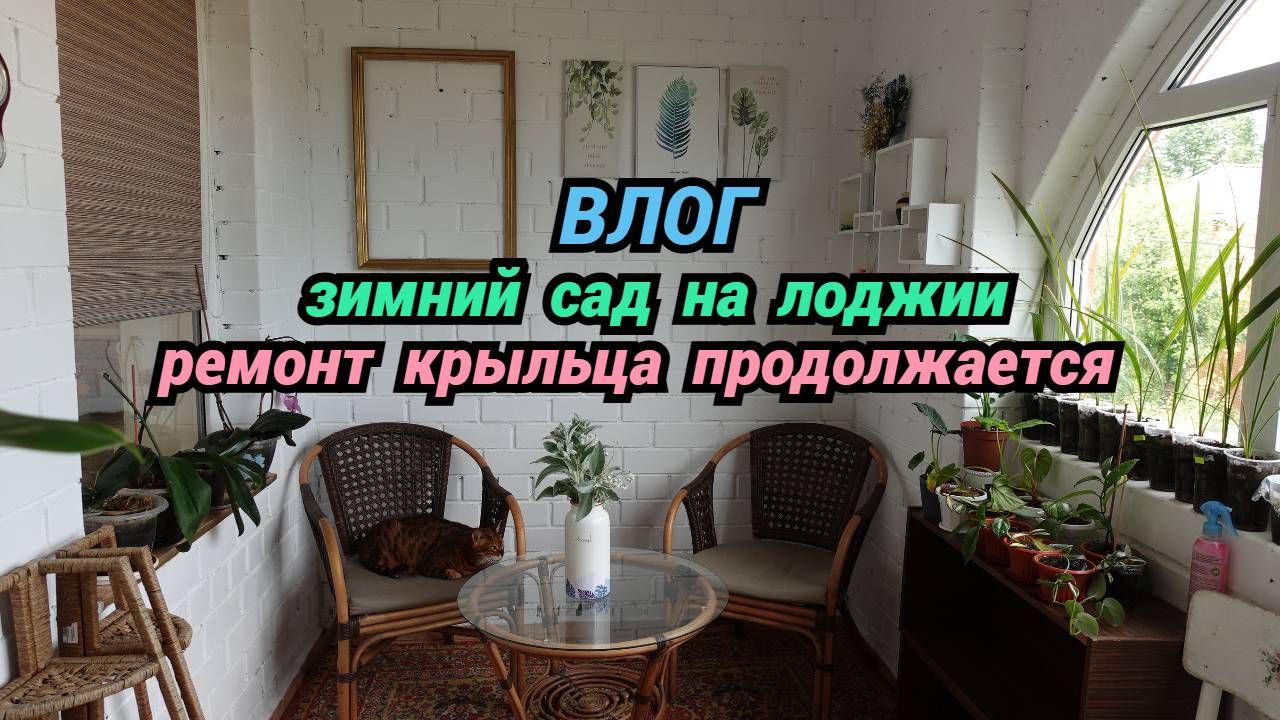 Новый влог/Зимний сад на лоджии/Ремонт крыльца продолжается/Новая стрижка