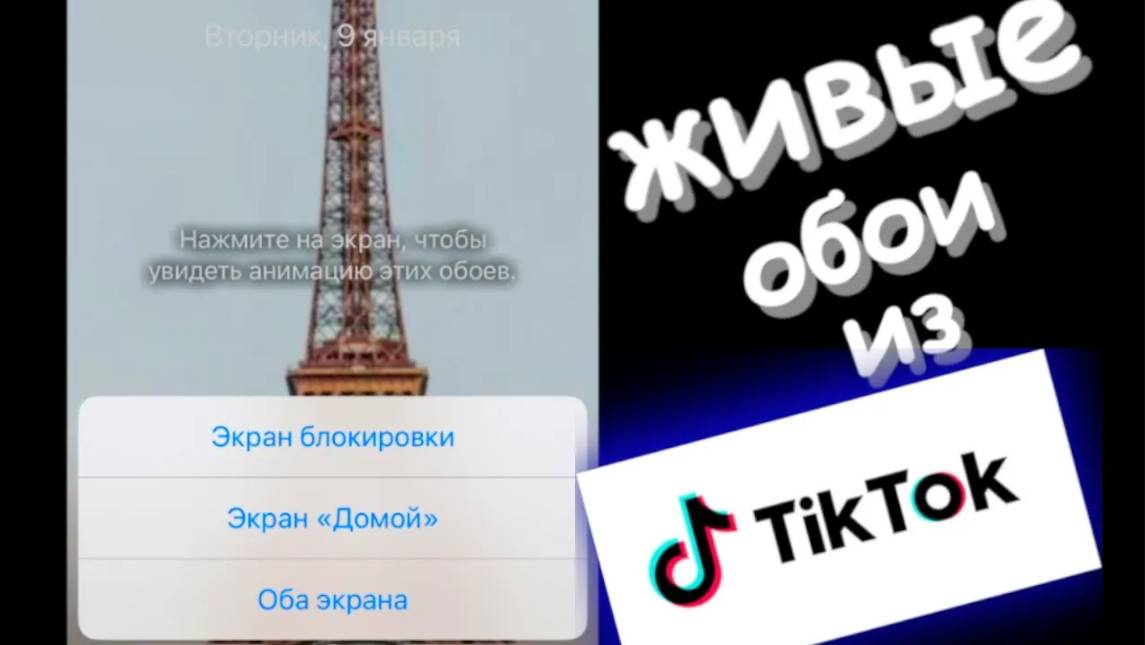 Как поставить живые обои из Тик Тока на Айфон
