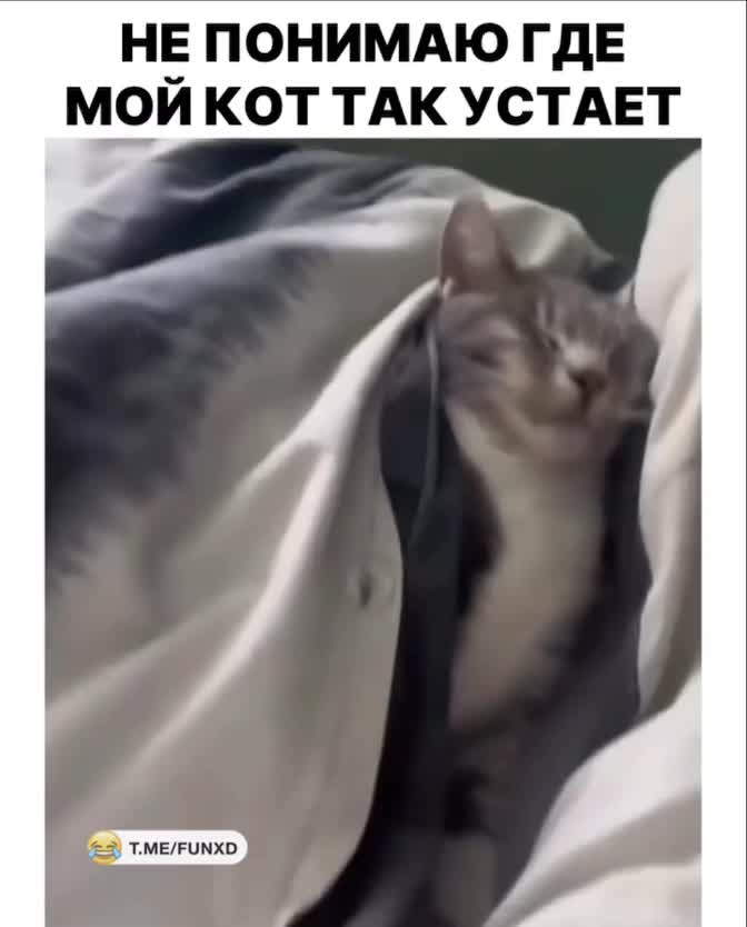 Заработался😄