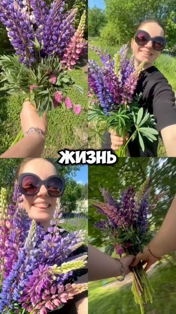 Мотивация дня