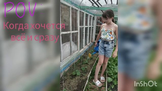 InShot_20250602_120847907.mp4