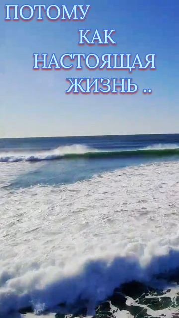 1000066658.mp4