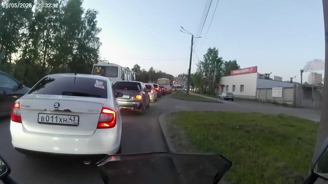 Щеми коробочников