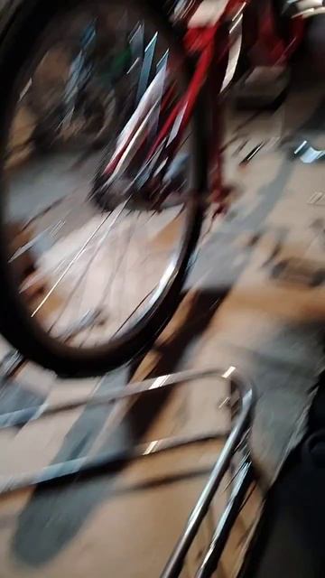 scene_output.mp4