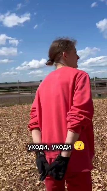 комментарии тренера с последней тренировки😅