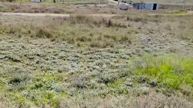 video5327829668521340842