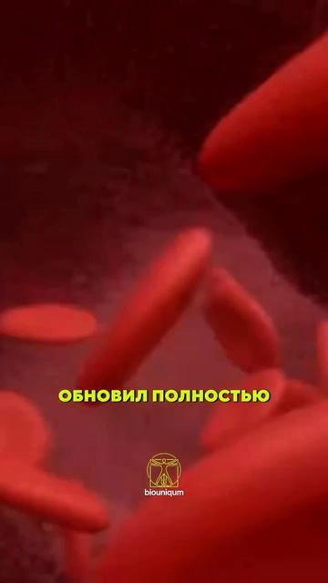 Ты должен начать принимать холодные ванны 🥶