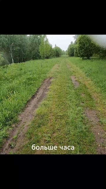 Погодный Коллапс.