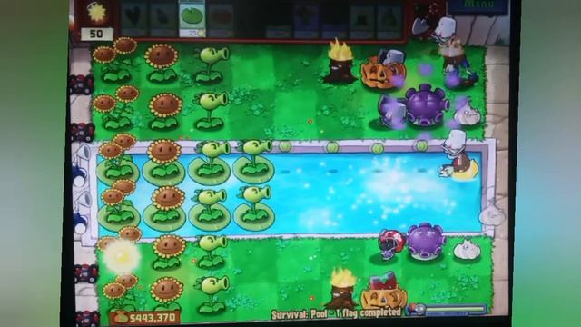растения против зомби экспансия игры survival pool