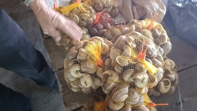 Будьте осторожны⚡случайно можете попасть в Лаос