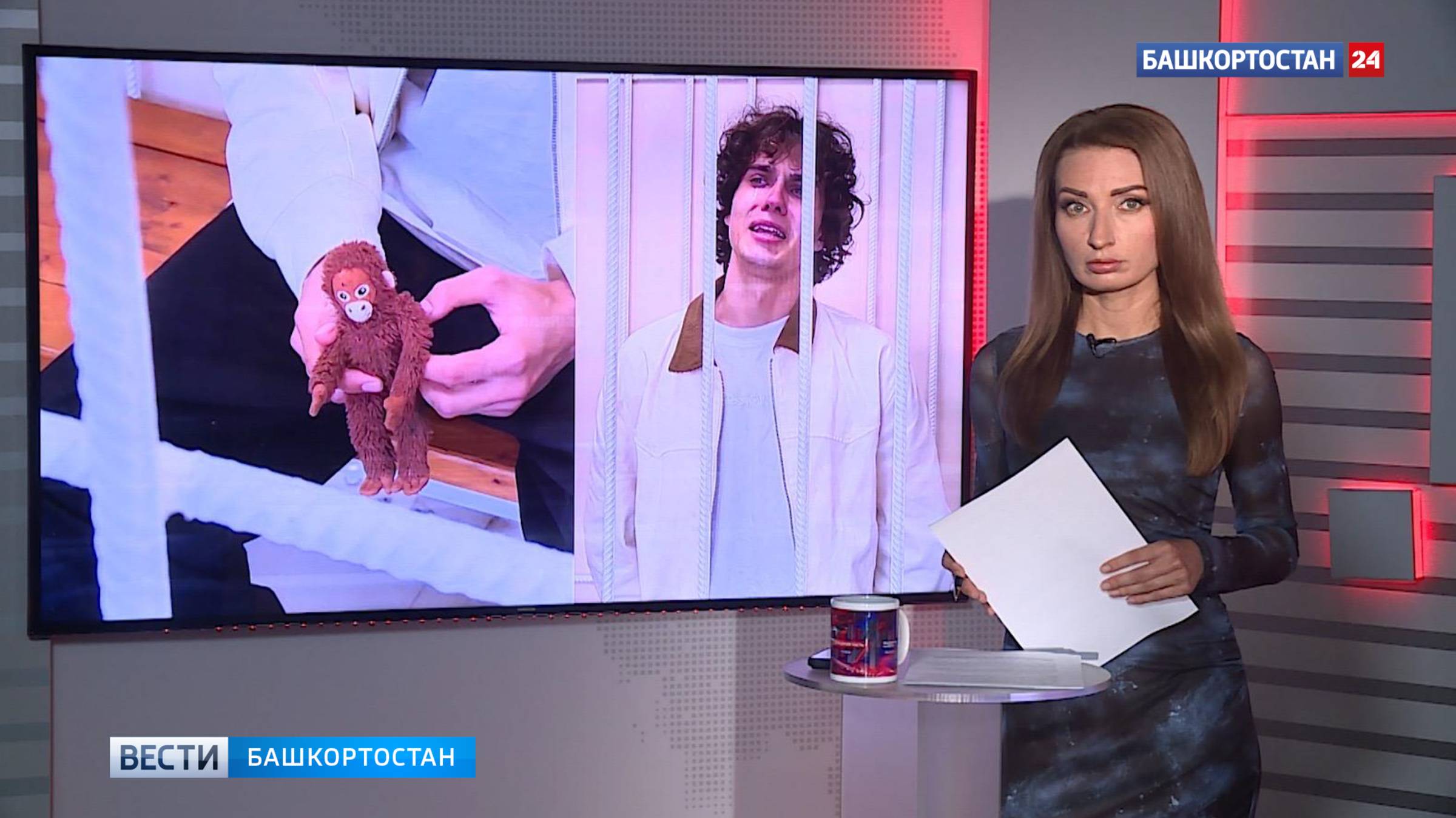 Слезы юного преступника, убийство кочергой, провальная диверсия и война в коллективе СНТ под Уфой