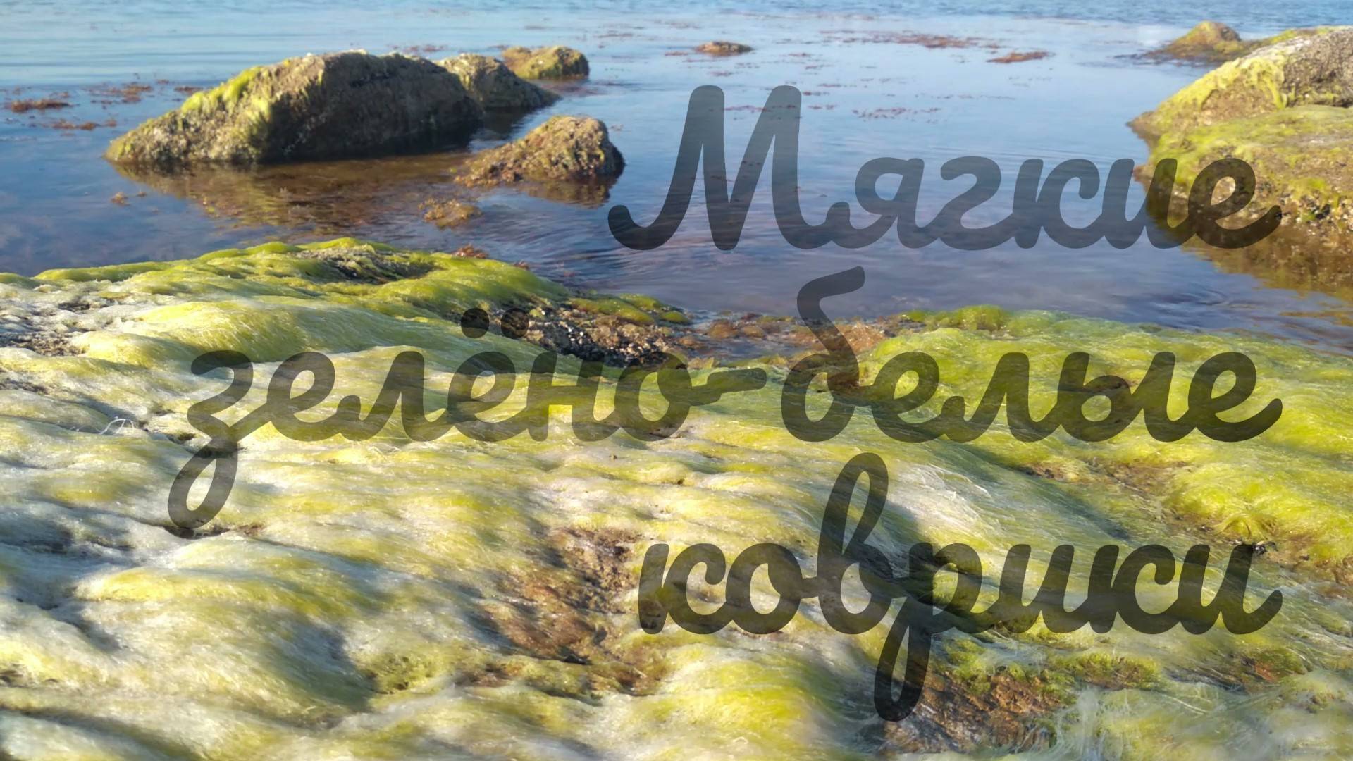 Мягкие зелёно-белые коврики