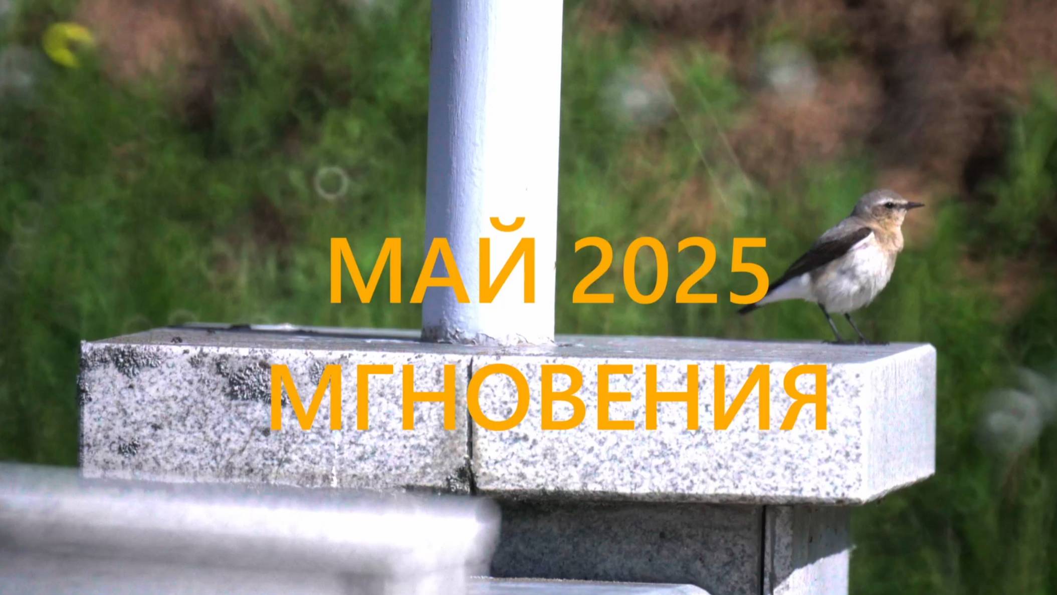 2025 май мгновения