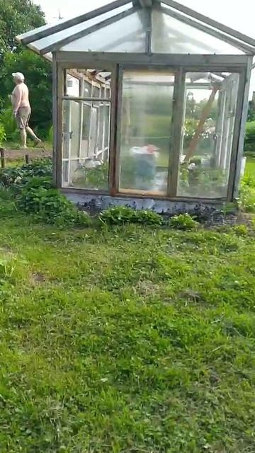 мини обзор на природу🏡