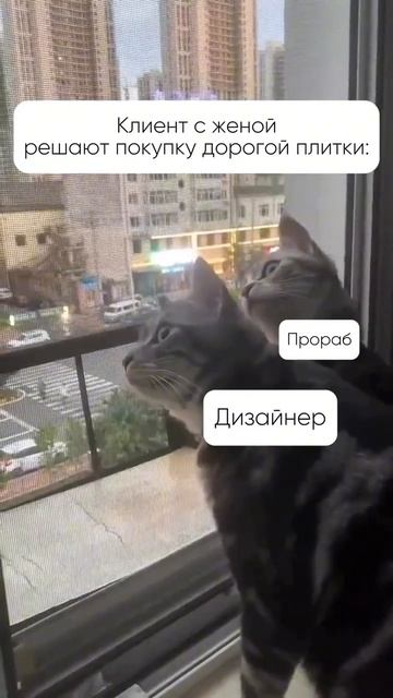 Нужно просто подождать 😁