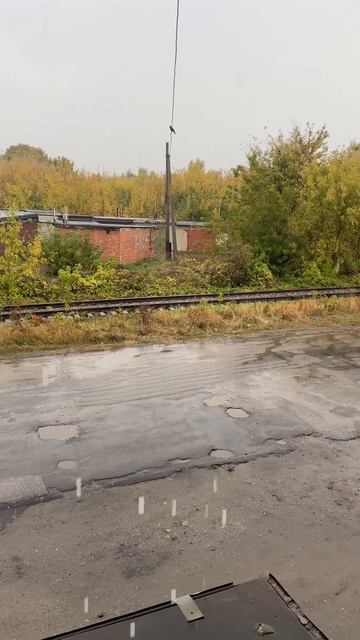 Осень из окна
