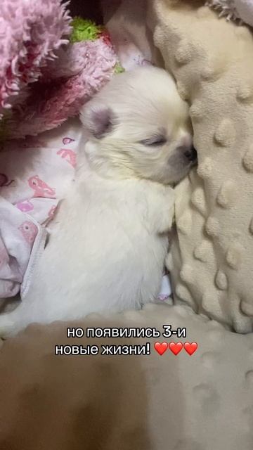 💔💔💔