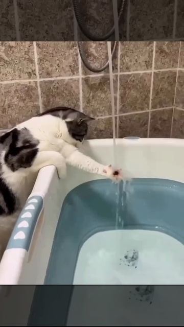 Проверяем водически