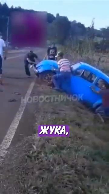 Новостничок (240)
