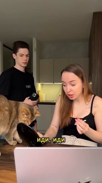 Иди куда хочешь, только не мешай!