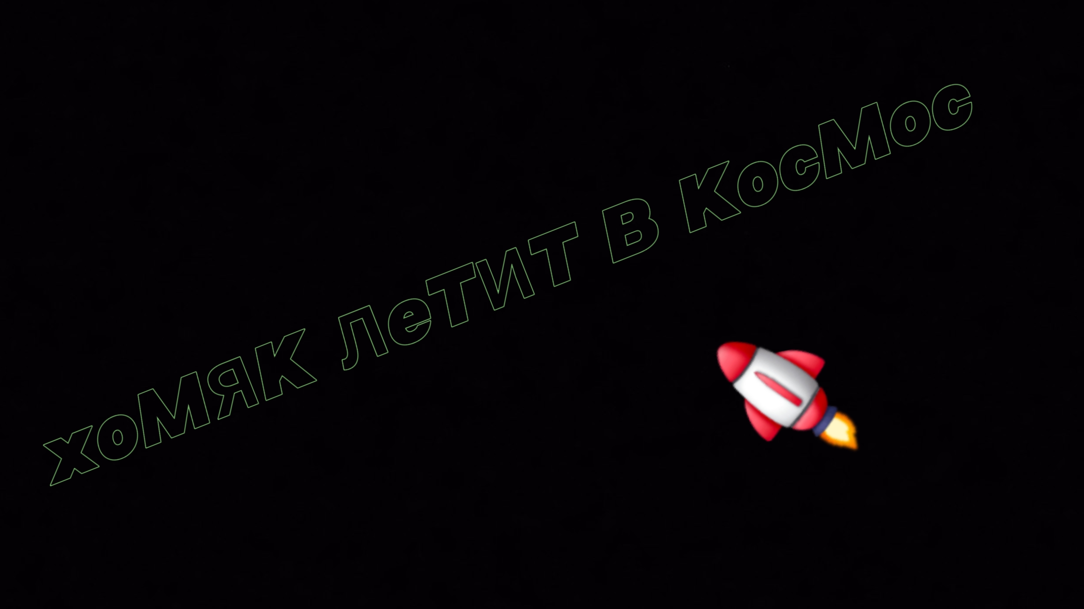 хомяк летит в космос 👩🚀!