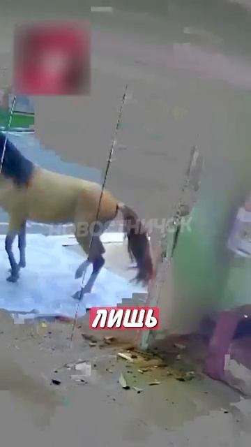 Новостничок (283)